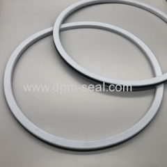 PTFE/EPDM super tank manlid seal