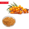 Sea Buckthorn Juice Powder