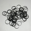 Rexroth A8VO55/80/107/200 hydraulic pump piston ring