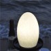 Egg Shape Table Lamp