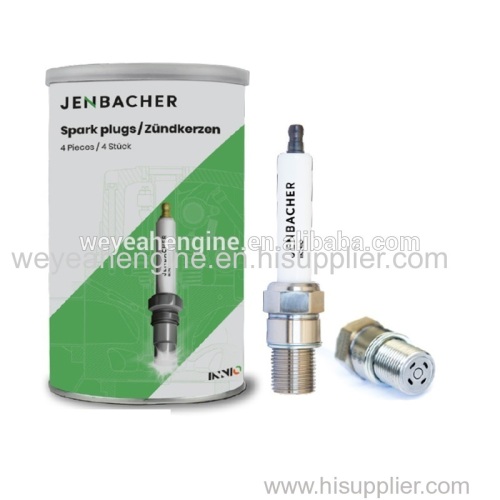 Spark plug P611 for JGS620 gas engine