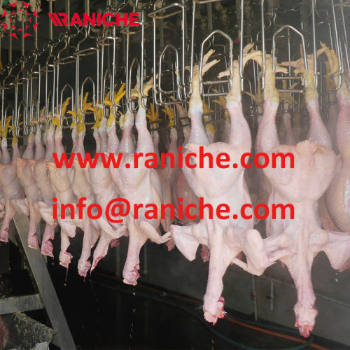 300BPH-2000BPH Poultry Processing Machinery Abattoir Chicken Slaughter Line Slaughtering Equipment