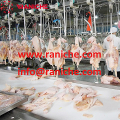 Chicken Slaughtering Evisceration Pre Cooling Washing for Automatic Poultry Chicken Slaughtering Line