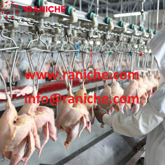 300BPH-2000BPH Poultry Processing Machinery Abattoir Chicken Slaughter Line Slaughtering Equipment