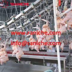 300BPH-2000BPH Poultry Processing Machinery Abattoir Chicken Slaughter Line Slaughtering Equipment