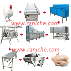 1000BPH Poultry Processing Chicken Slaughtering Equipment / Plant For Sale