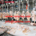 800-1000BPH chicken slaughter machine / chicken slaughtering equipment / chicken processing equipment