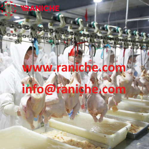 2000BPH chicken slaughter machine price chicken processing equipment