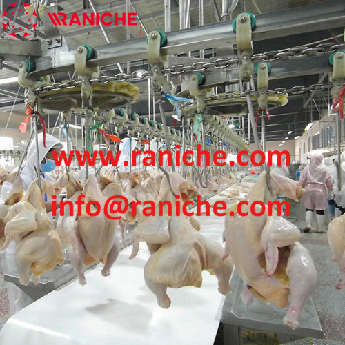 Chicken Slaughtering Evisceration Pre Cooling Washing for Automatic Poultry Chicken Slaughtering Line