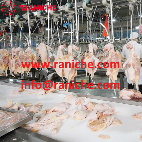 High Efficiency Poultry Processing Equipment / Chicken Slaughtering Equipment / Plant For Sale