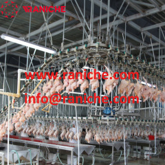 Small slaughterhouse processing equipment chicken slaughter machine for chicken