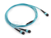 MTP/MPO Shuffle Cable 1