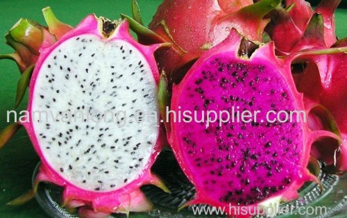 HIGH QUALITY WHOLESALE 2020 FRESH DRAGON FRUIT FROM VIETNAM