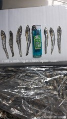 Best quality Dried anchovy by sunshine from Vietnam