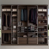 cloakroom customized furniture walk-in closet/wardrobe