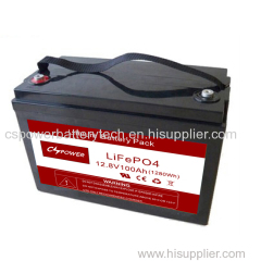 Lithium ion Battery customize 48V 100Ah Lifepo4 Battery Pack with BMS system