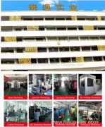 Shenzhen Ruiyi Industrial Co., Ltd