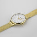 FEATURES OF SS553-02 GOLD AND WHITE WOMEN'S WATCH WITH MESH BAND