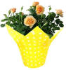 Plastic Flower Pot Cover / Flower Wrapping Sle eves
