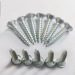 Carbon Steel Drywall screw Zinc Plated Fasteners factory supply