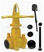 API6D PARALLEL GATE VALVE Double Disc SOFT SEAT PTFE metal to metal RTJ flange