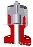 Petroleum Wellhead Equipments bottom hole test adapters