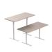 Customize Ergonomic Electric Height Adjustable Sit Stand Lift Desk Dual Motor Frame Electric