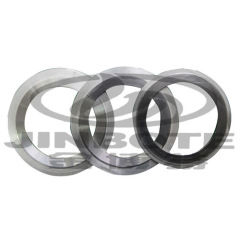 BOTE KG Kammprofile Gasket