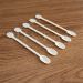 Disposable biodegradable coffee spoons