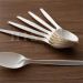 Disposable eco-friendly dessert spoons compostable cake spoons