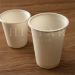 Corn Starch Eco friendly Disposable Cups