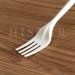 Sustainable Disposable Cake Fork