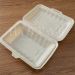 Large capacity biodegradable disposable lunch box