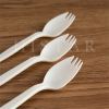 Organic and eco-friendly disposable cake spoon