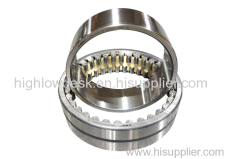 Double Row Cylindrical Roller Bearing