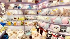plush toy customized and plush toy wholesale and plush toy manufacture