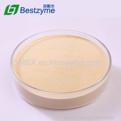 Cellulase Jinan Bestzyme Bio-Engineering Co Ltd