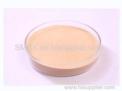 Cellulase Jinan Bestzyme Bio-Engineering Co Ltd