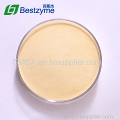 Beta Glucanase Jinan Bestzyme