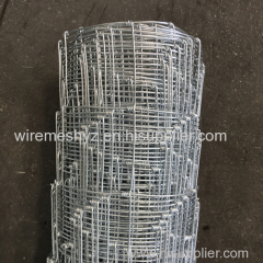 Hot Dipped Galvanized Field Fence Hinge Joint Farm Fence Agricultural Wire Fencing