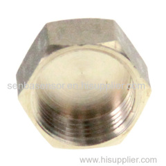 PTFP Female Plug Common Fittings