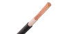 XLPE Insulated CableXLPE Insulated Cable