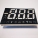 Temperature display;custom display;refrigerator display;3 digit led display;triple digit led display; display with minus