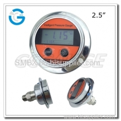 2.5 Inch All Stainless Steel Back Connection Panel Mount Digital Pressure Gauges