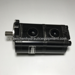 Gear pump D10.5A4.5R256