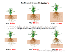 Cocoly granular water-soluble fertilizer adjust ph of soil