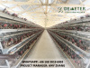 Layer chicken cage for poultry farming