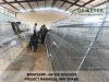 Poultry Farming (Layer chicken Farming with Cage and nipple drinking system )