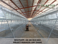 A type 4-Tier Layer Chicken Cage Battery Cage