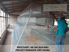 A type 4-Tier Layer Chicken Cage Battery Cage